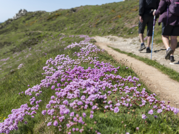 North Devon Walking festival - Woolacombe Down