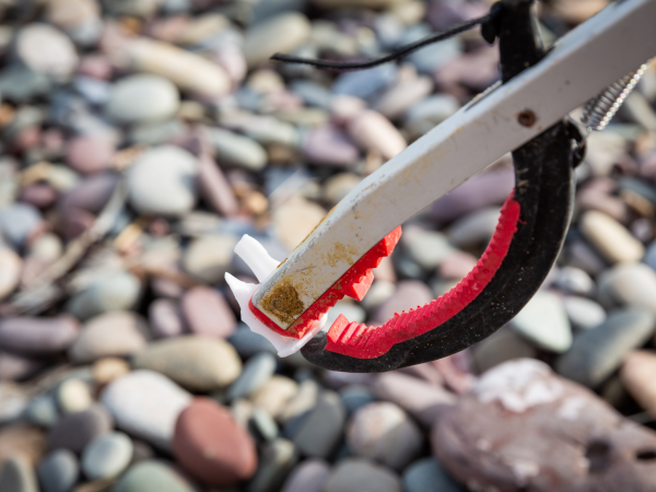 Community Litter Pick - Wembury