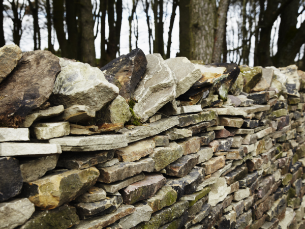 Dry Stone Walling Walk