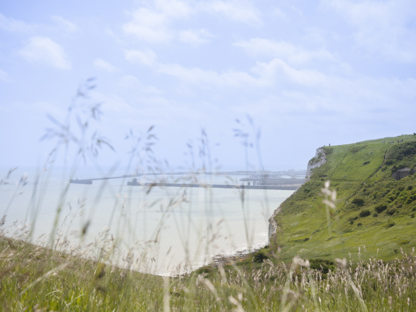 Towering Natural Treasure - Guided Walk for Heritage Open Days