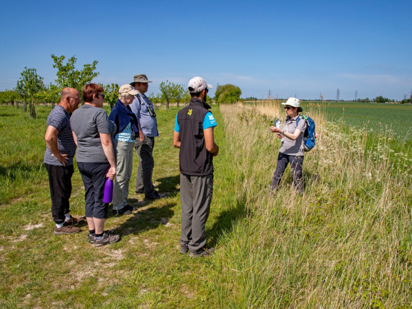 Help Out Day: Invasive Walk and Talk