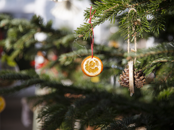 Festive Table Centrepiece Workshop