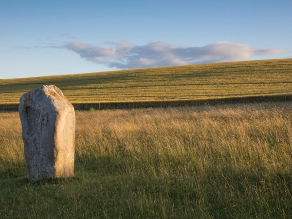 Discovering Untamed Avebury: landscape, people and nature