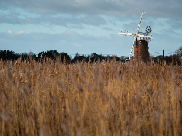 Walk with us - Horsey Windpump