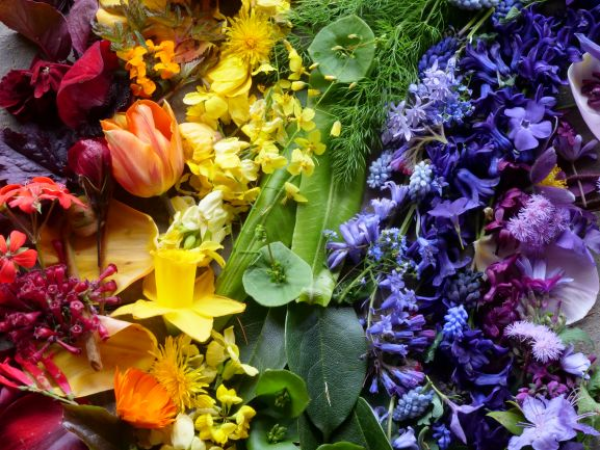 Bloom with Pride floristry workshop