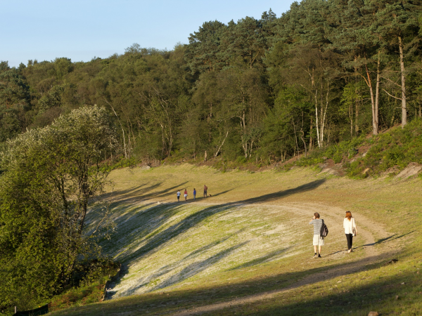 Guided walk: Devil's punchbowl to Haslemere circular