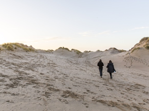 Dune Wildlife Walk and Talk