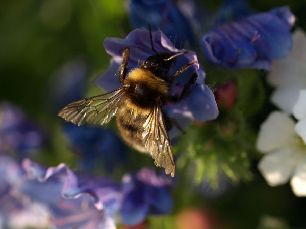 Nature Photographic Workshop