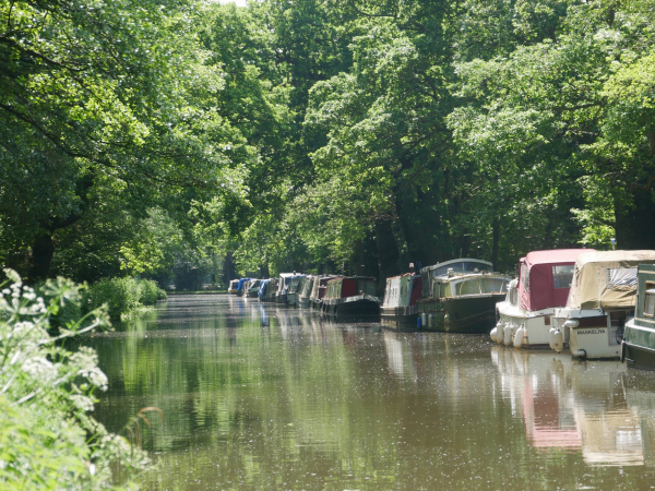 Guided walk round Godalming with David Rose