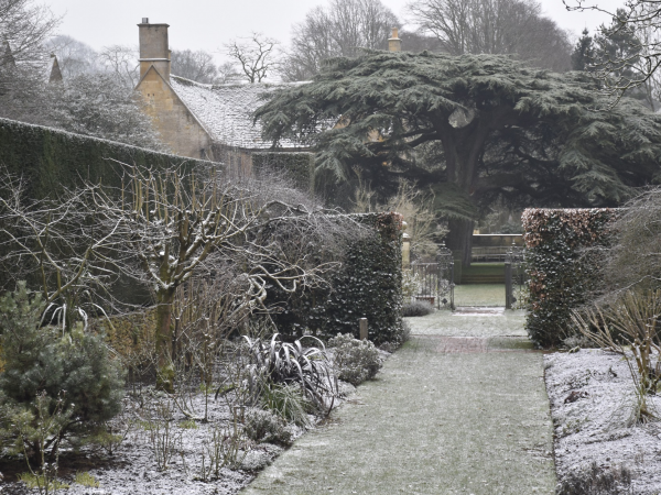 Winter morning garden tour with hot drink and a seasonal bake