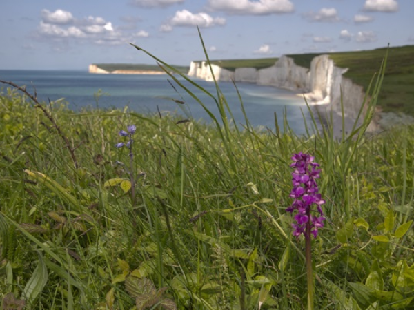 Squire, Parson and Shepherd - What life was like living on the Downs