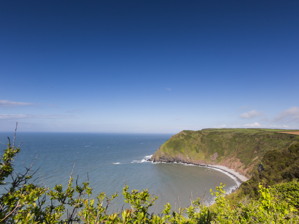 North Devon walking festival - East Titchberry