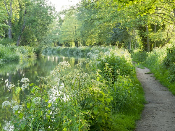 The Wey to Waverley Abbey
