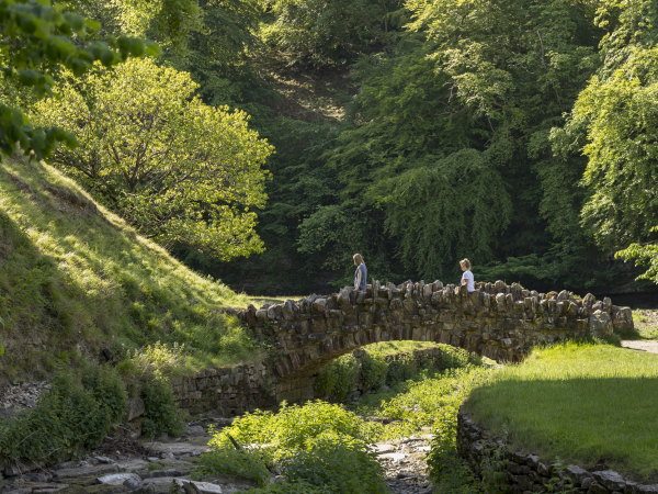 Guided walk: the Fountains Way