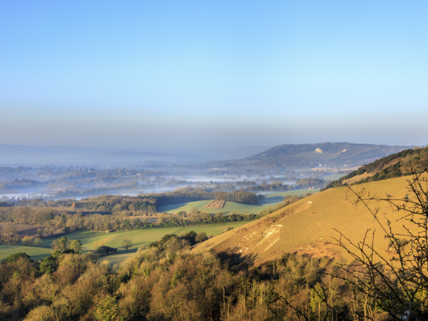 Discover the Hidden Quarrying Heritage of the Surrey Hills