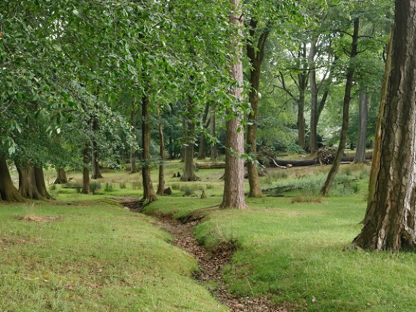 October Half Term: Bubbling cauldron walk (ages 5-10)