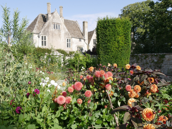 Summer floral workshop