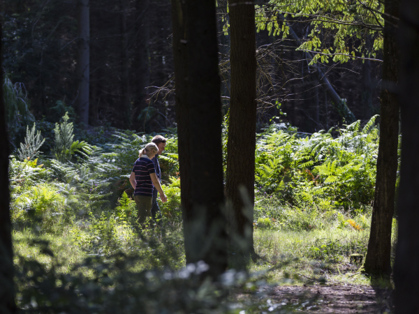 'Hidden Species' Wildlife Photography Exhibition & Guided Walk