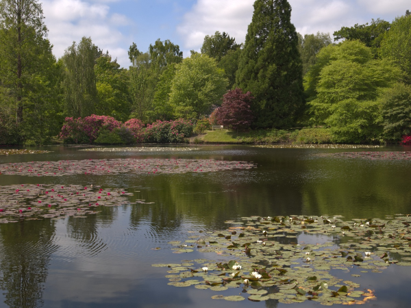 Summer Beginners Photography Workshop