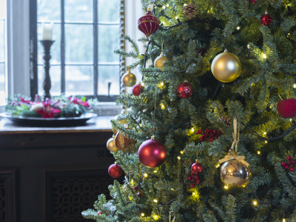 Christmas Table Centre Piece Workshop at Tredegar House