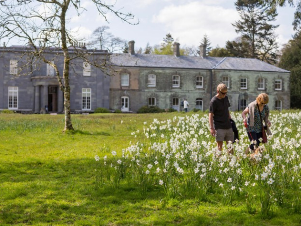 Guided wider estate walks - Learn about foraging