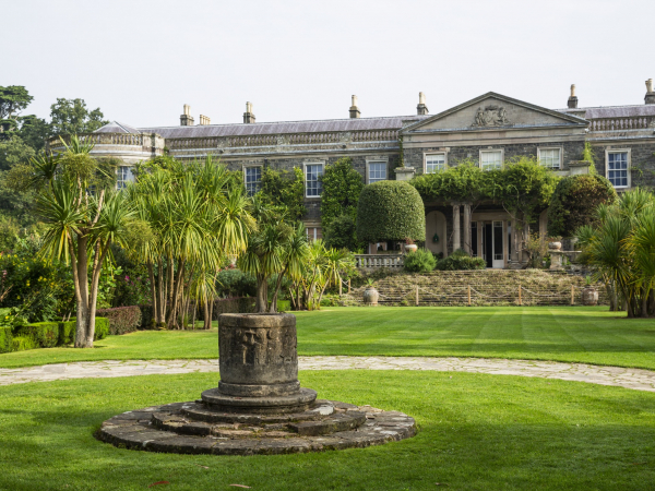 Heart of Sound – Sound Bath Experience for World Sound Healing Day