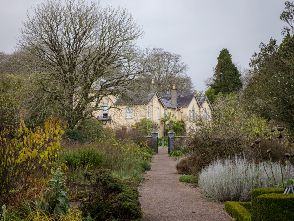 Pause-De-Cember – Rest and Re-energise at Rowallane