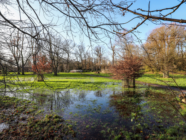 Forest Bathing at Morden Hall Park