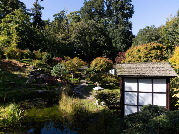 Japanese Tea Garden experience