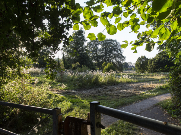 Winter wellbeing walk at Coventry Charterhouse
