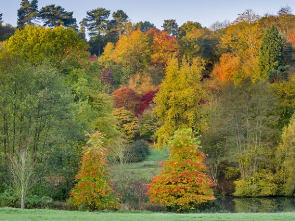 Autumn Colour Early Morning Photography