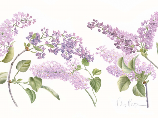 Botanical Blossom Painting