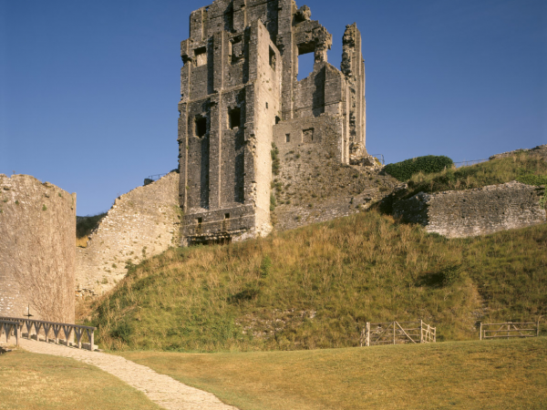 Guided tour and Kings’ view experience