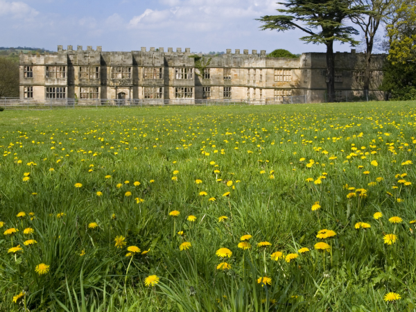 The Art of Birdsong: a guided bird walk and art workshop