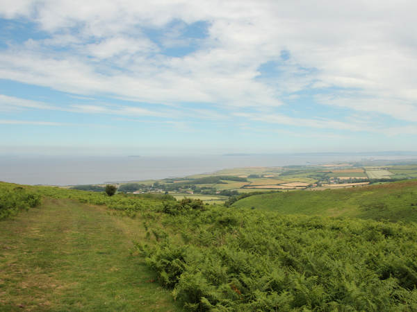 Quantock Hills Walking Festival | Alfoxton to Nether Stowey