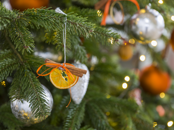 Christmas Lunches in Coach House Tea-room