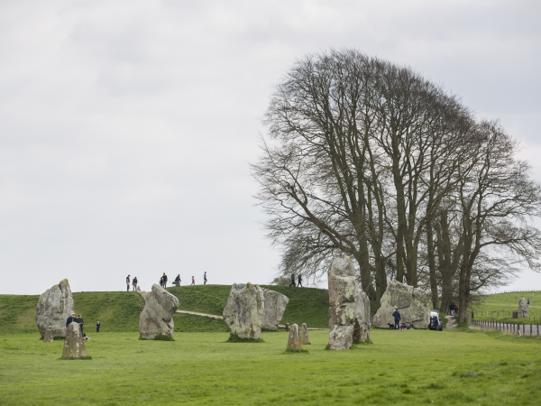 Guided walk with Sarah Hobley, artist in residence