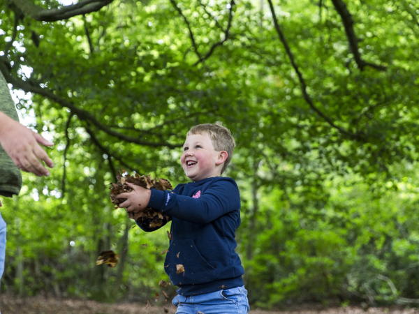 February Half-Term - Family Crafts