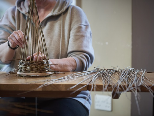 Willow Swallows and Dragonflies workshop