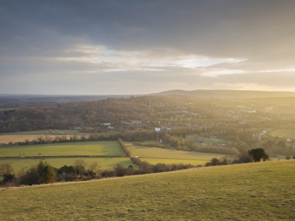 Cafe Talk: Front Line Surrey Hills
