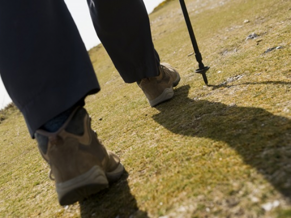 Guided walk: A tale of Three Windmills (almost!)