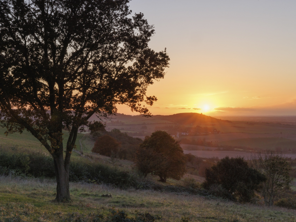 Big Camp May - Dunstable Downs and Whipsnade Estate