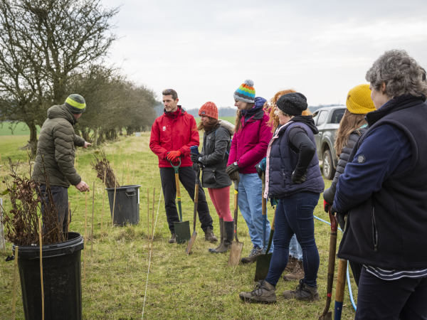 Public Volunteering Session - Tree Guard Removal