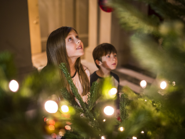 K.D Theatre presents an Ickworth Santa Show (Weekend Performances)