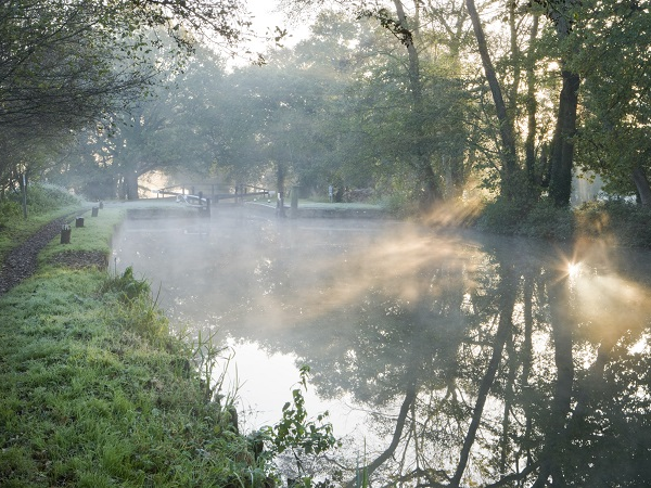 Three Surrey properties walk