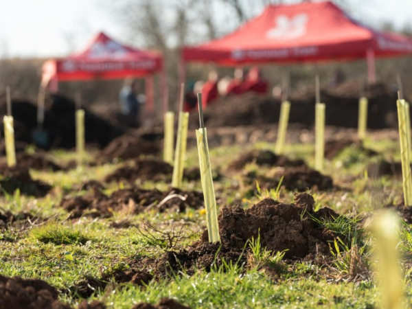 Community Tree Planting at Scobbicombe Farm, near Kingston