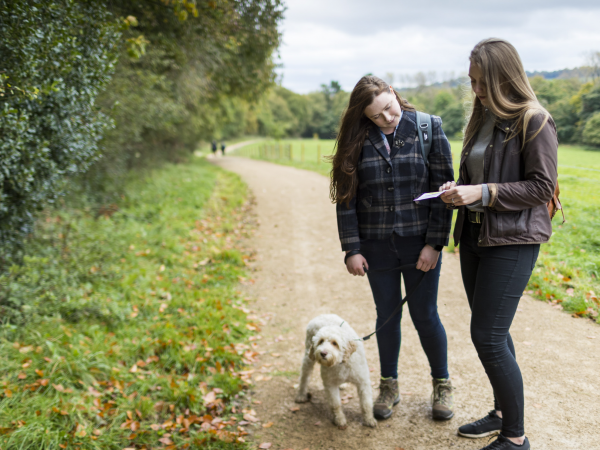 National Forest Walking Festival: Discover Calke Abbey, Foremark and Staunton Harold on foot