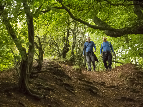 Guided Walks - Leg Stretcher (10-mile walk)