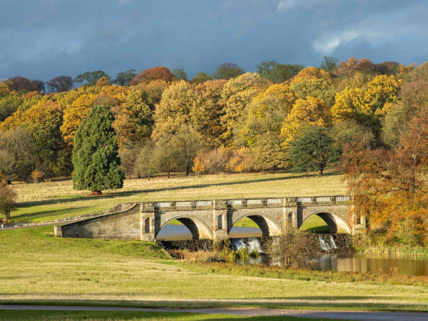 Autumn in the Park- Guided Walk