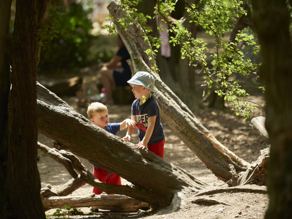 Pre school Children’s Wellness Workshops